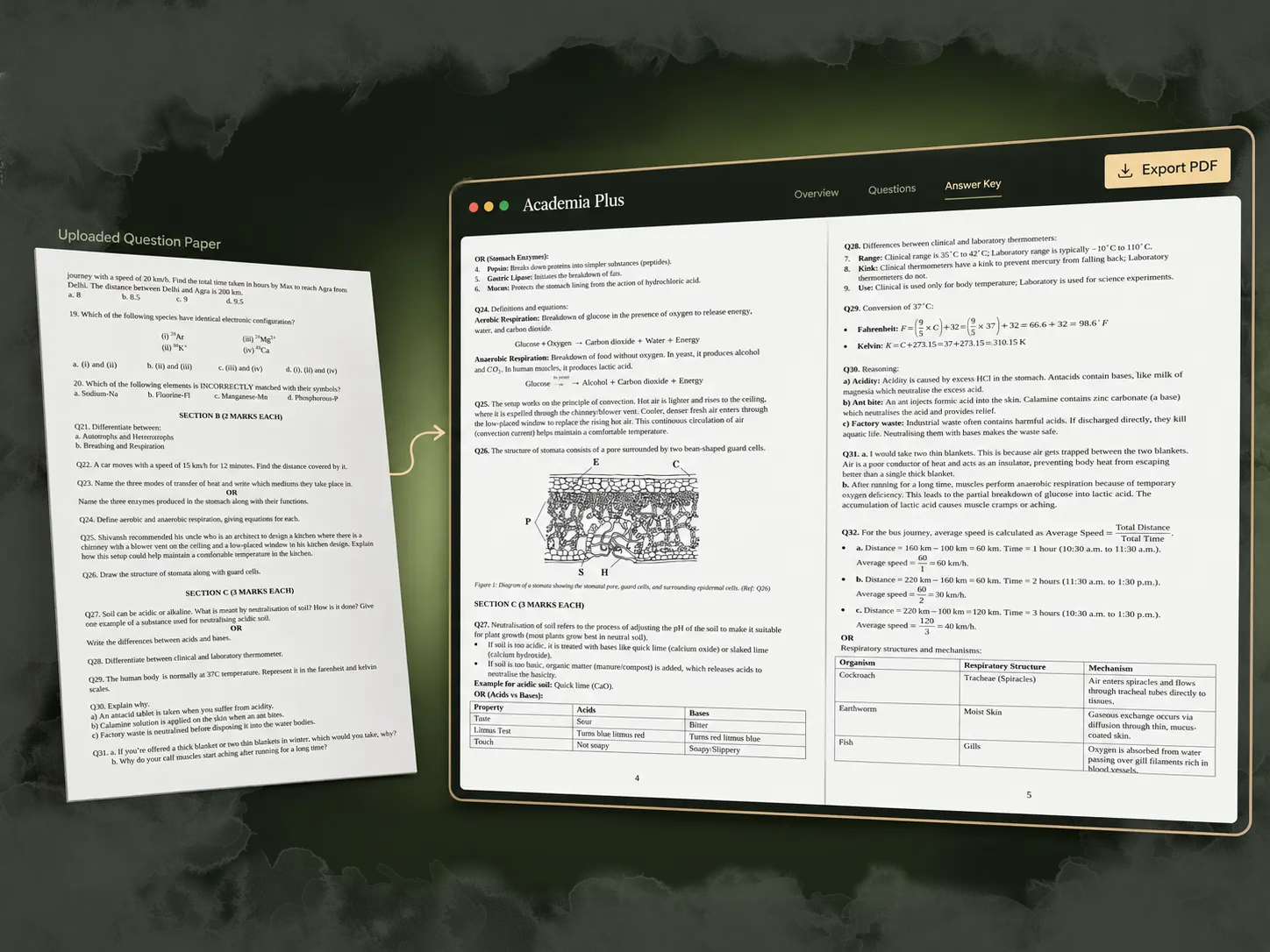 Academia Plus turning an uploaded question paper into a complete answer key, with a stomata diagram, a respiration table and worked formulas preserved, ready to export as PDF.